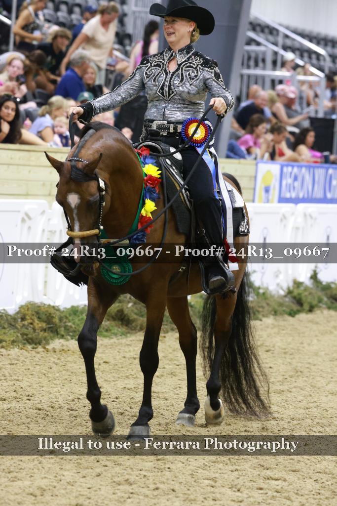 Proof Number 24R13_09667