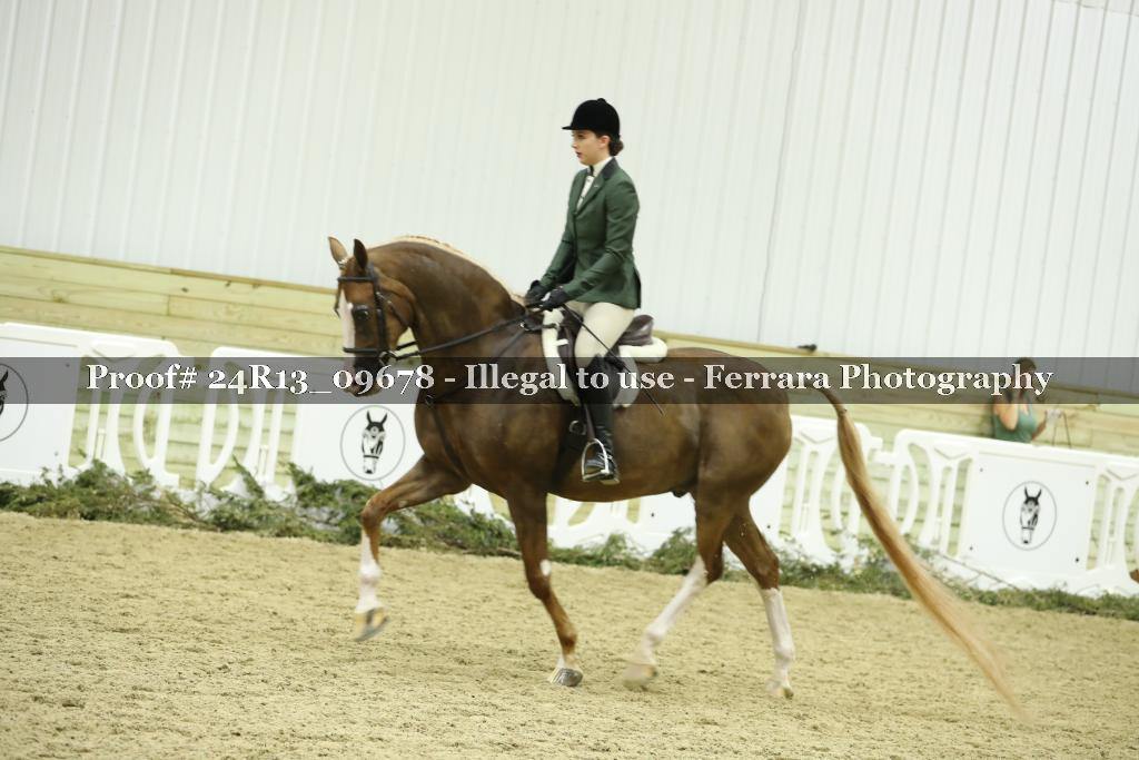 Proof Number 24R13_09678