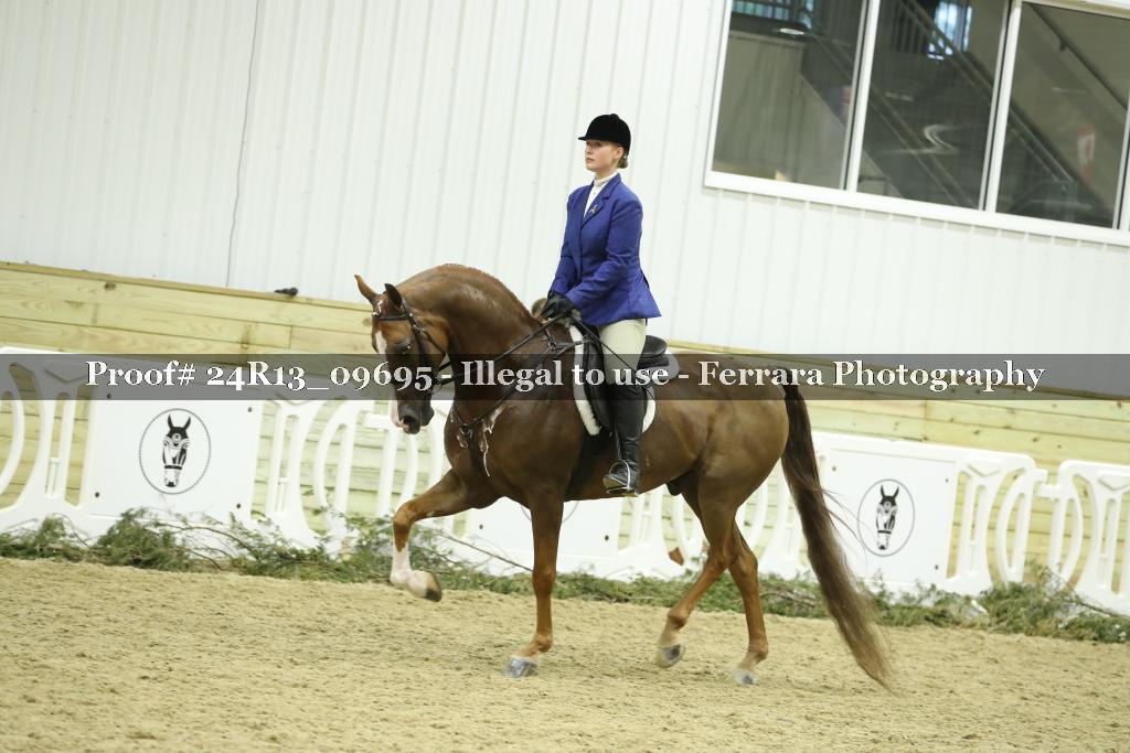 Proof Number 24R13_09695