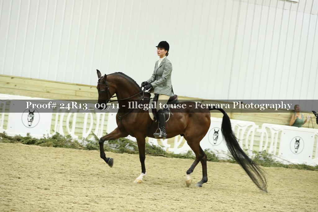 Proof Number 24R13_09711