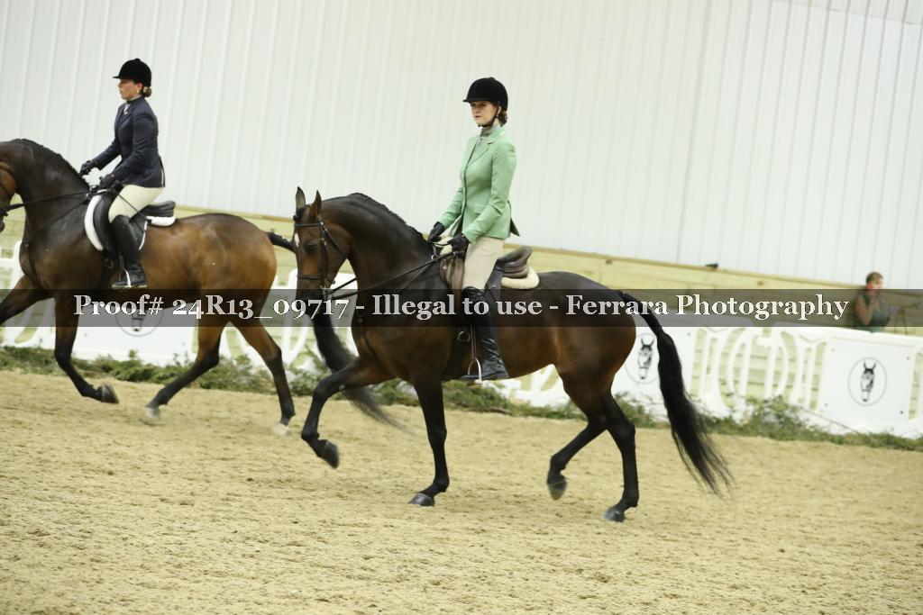 Proof Number 24R13_09717