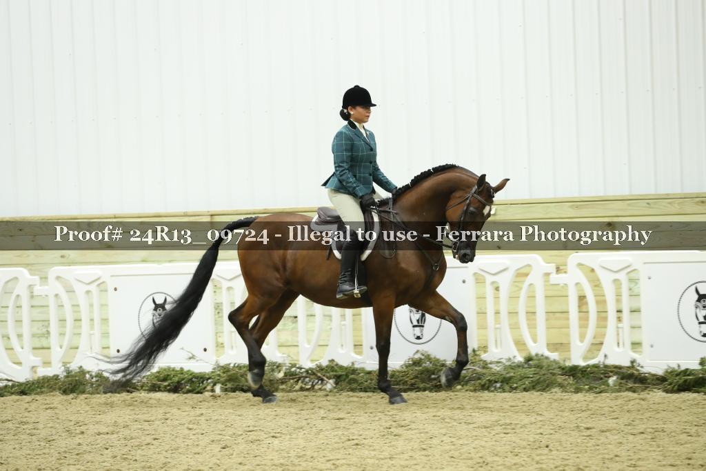 Proof Number 24R13_09724