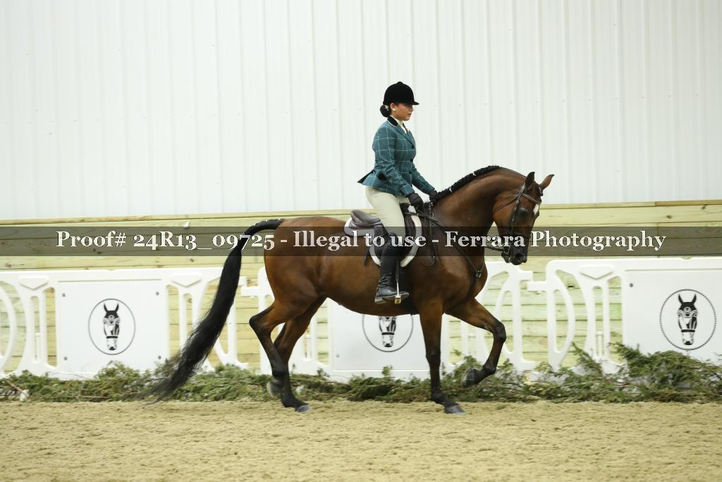 Proof Number 24R13_09725