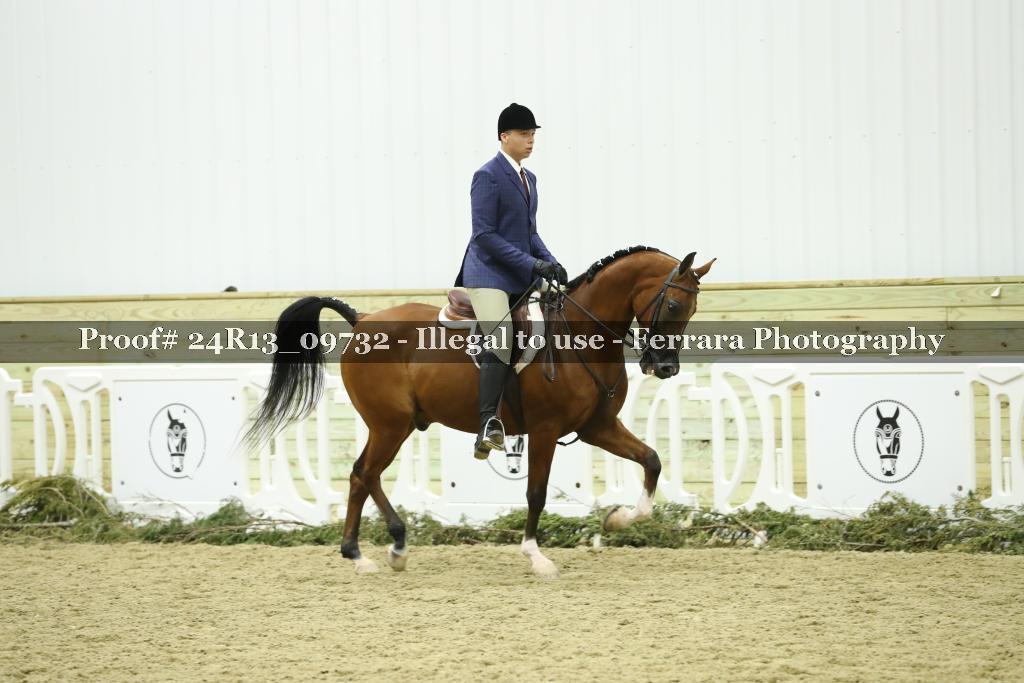 Proof Number 24R13_09732