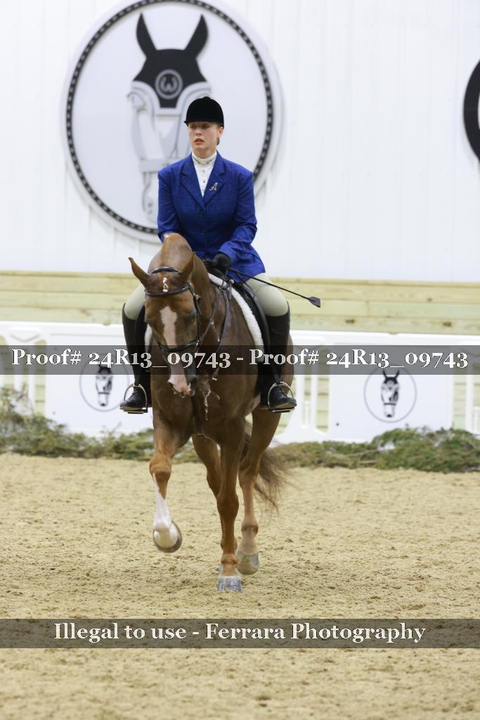 Proof Number 24R13_09743