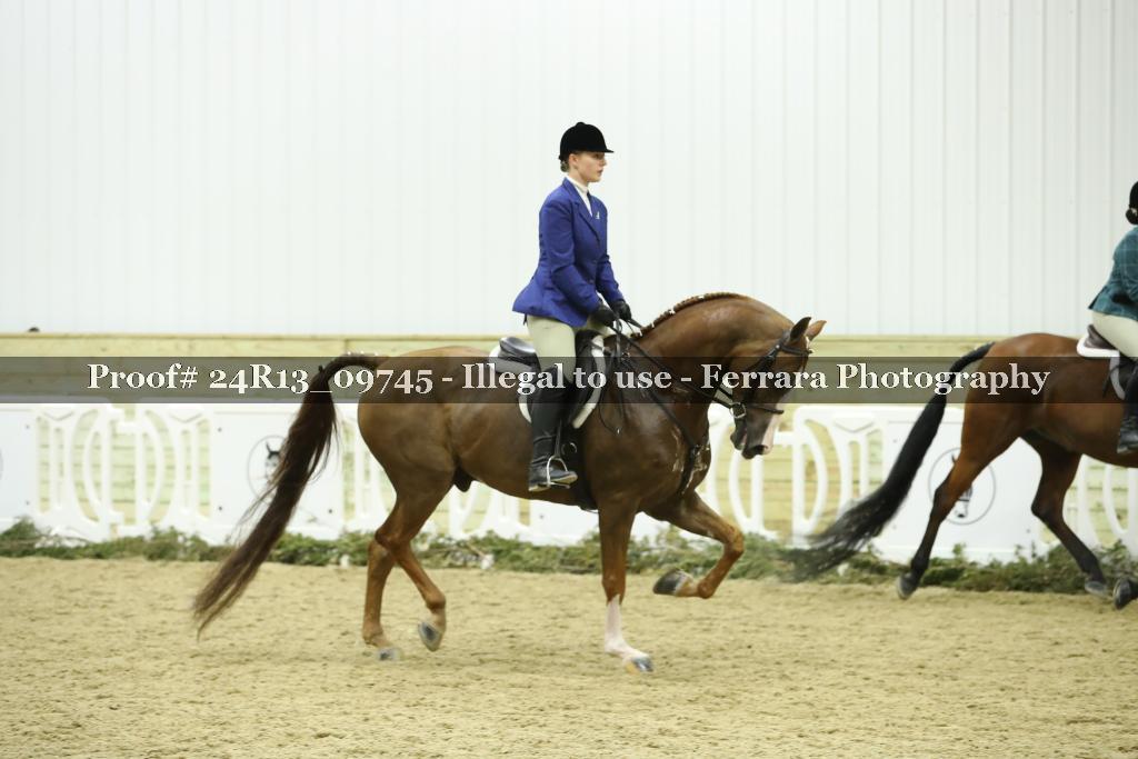 Proof Number 24R13_09745