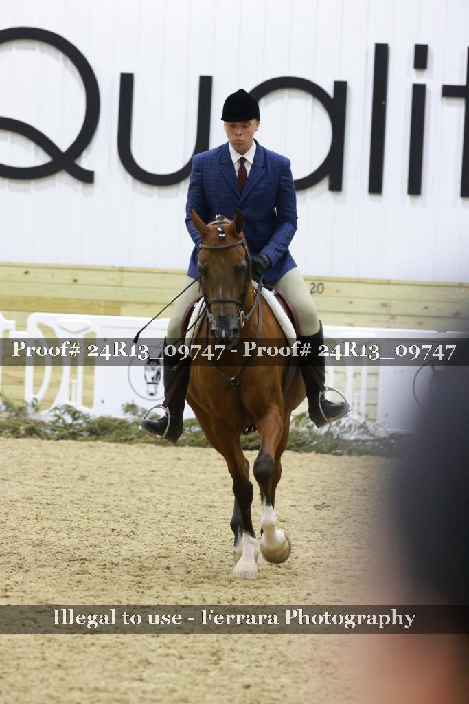 Proof Number 24R13_09747
