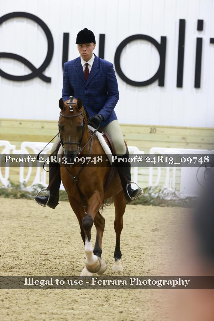 Proof Number 24R13_09748