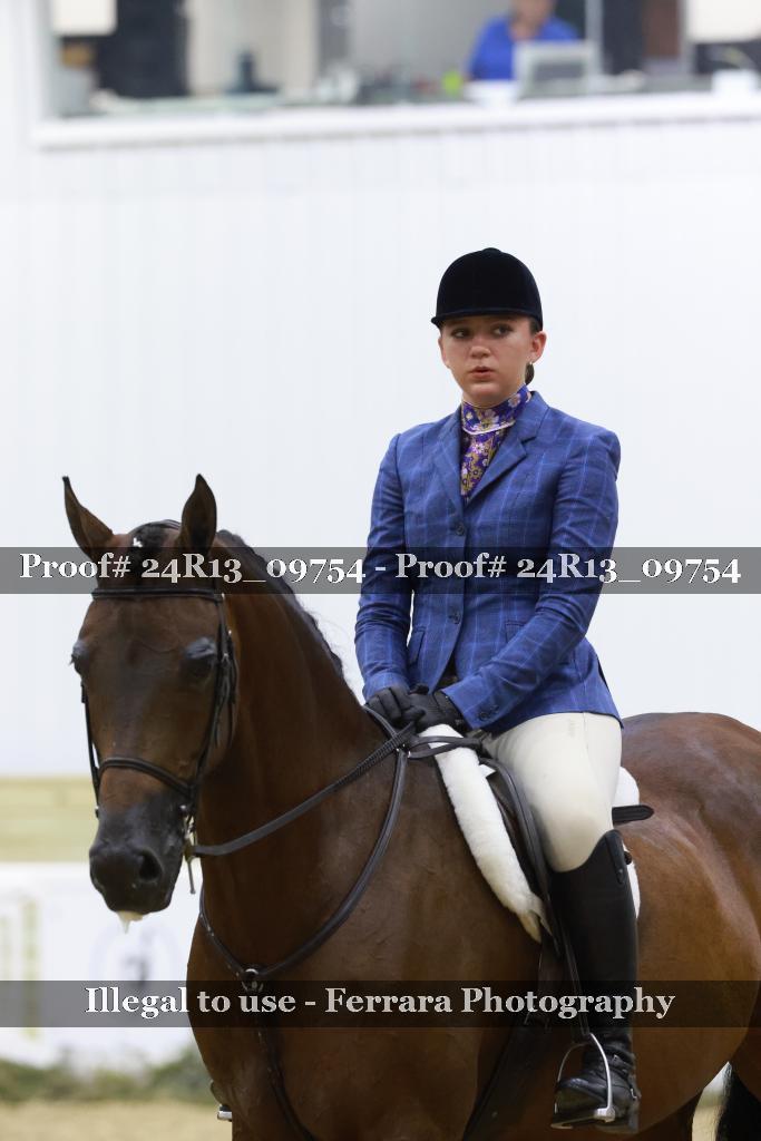 Proof Number 24R13_09754