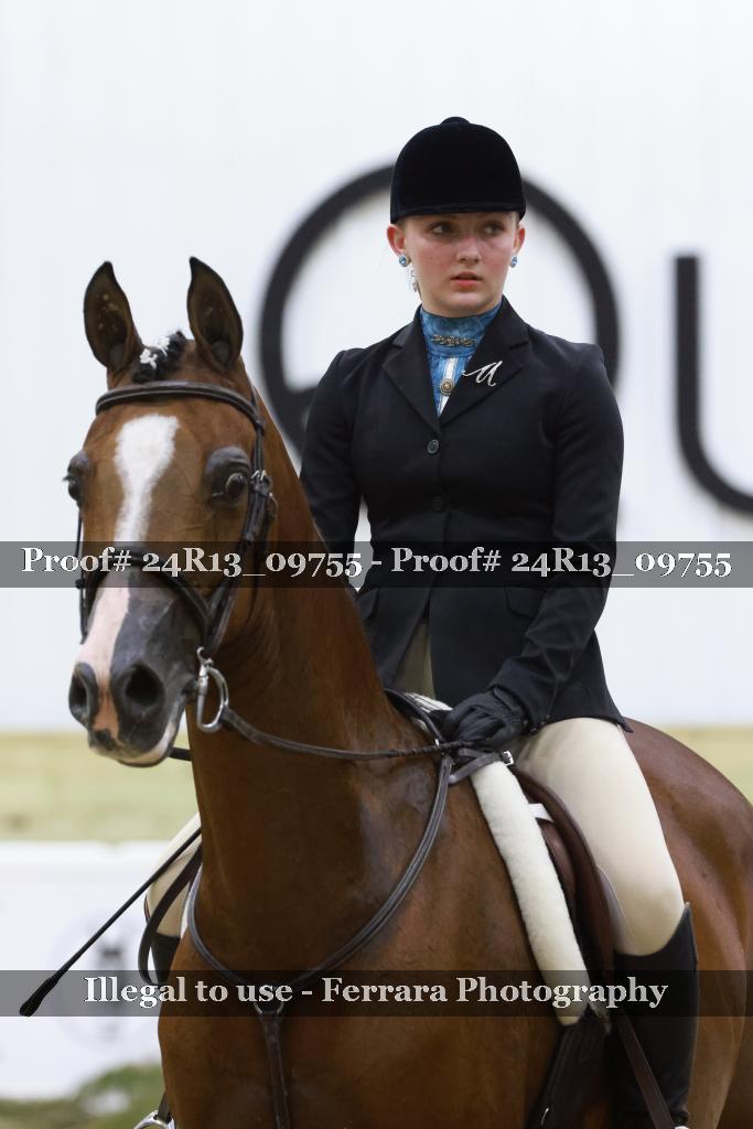Proof Number 24R13_09755