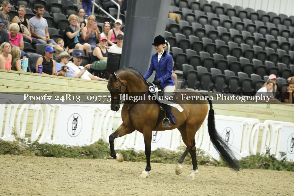 Proof Number 24R13_09775
