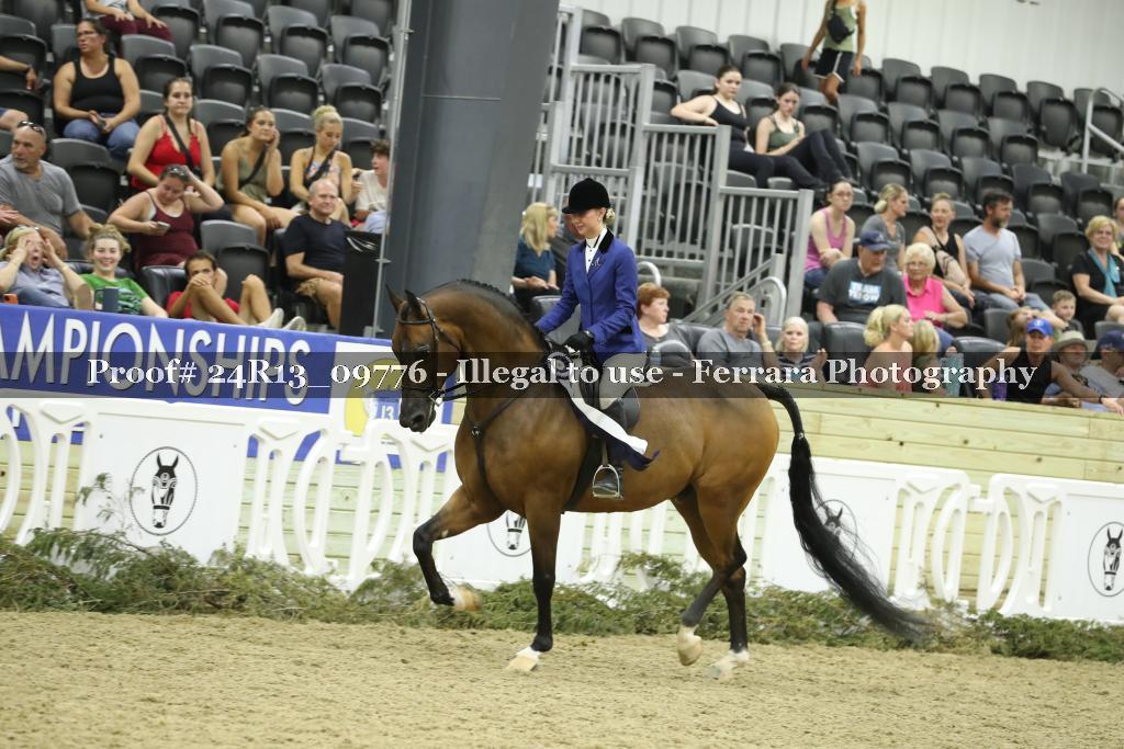 Proof Number 24R13_09776