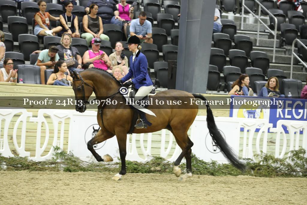 Proof Number 24R13_09780
