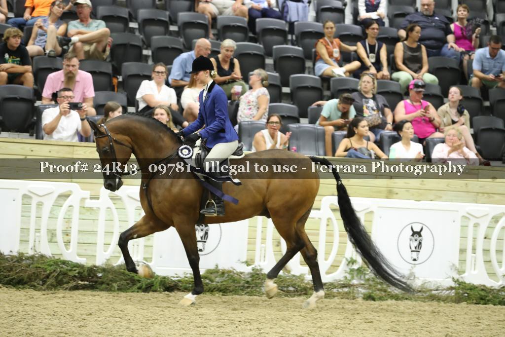 Proof Number 24R13_09781