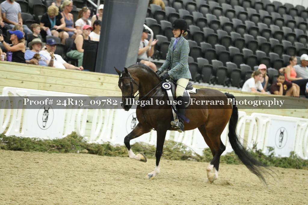 Proof Number 24R13_09782