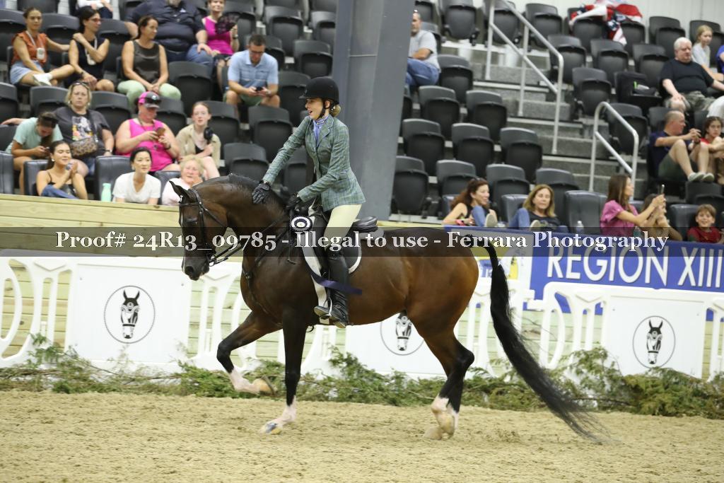 Proof Number 24R13_09785