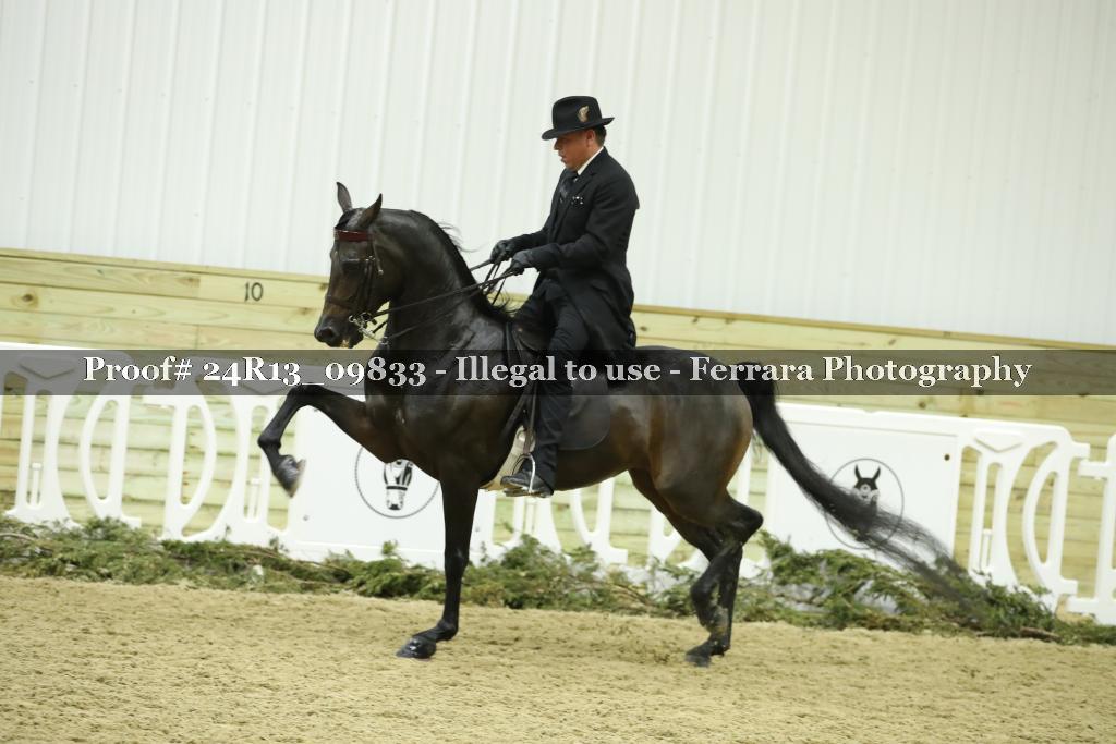 Proof Number 24R13_09833