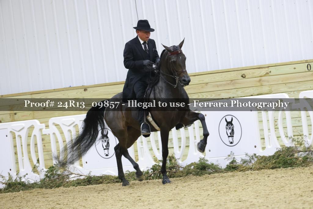 Proof Number 24R13_09857
