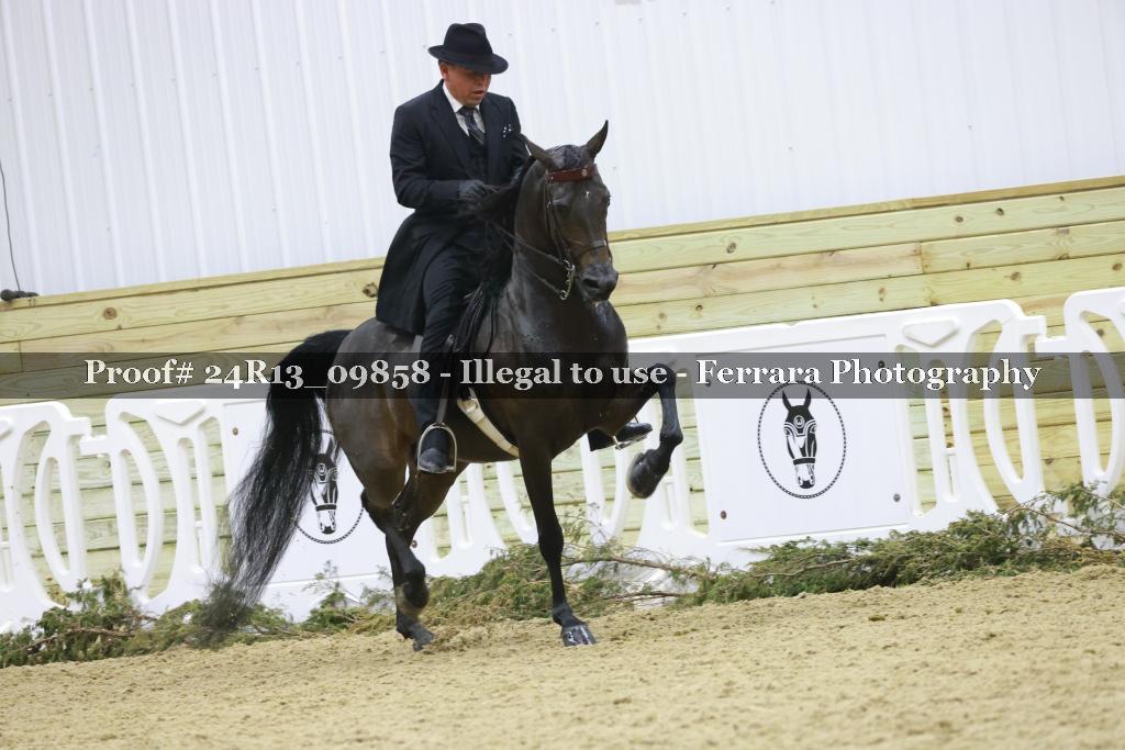 Proof Number 24R13_09858