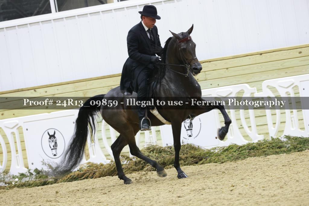 Proof Number 24R13_09859
