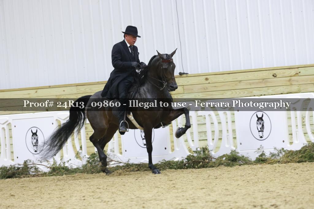 Proof Number 24R13_09860