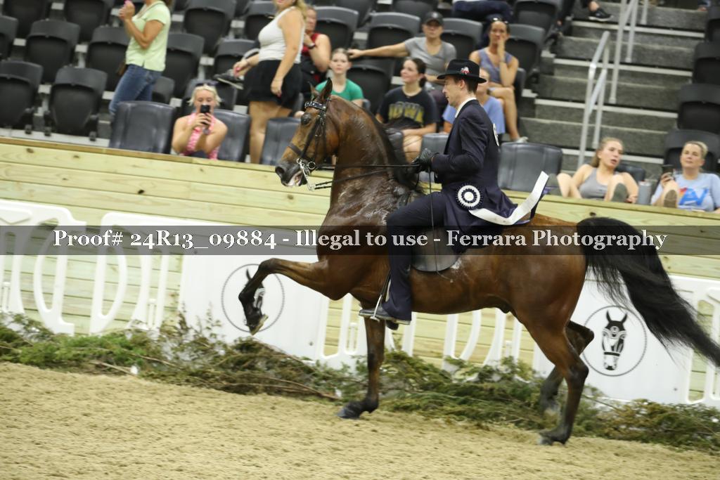 Proof Number 24R13_09884