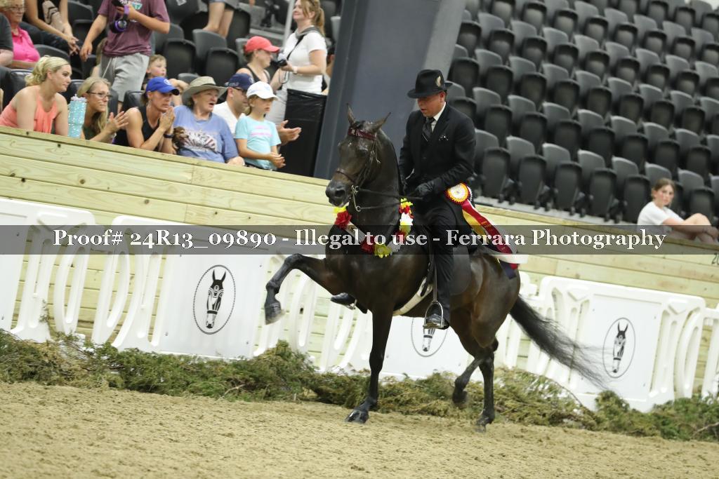 Proof Number 24R13_09890