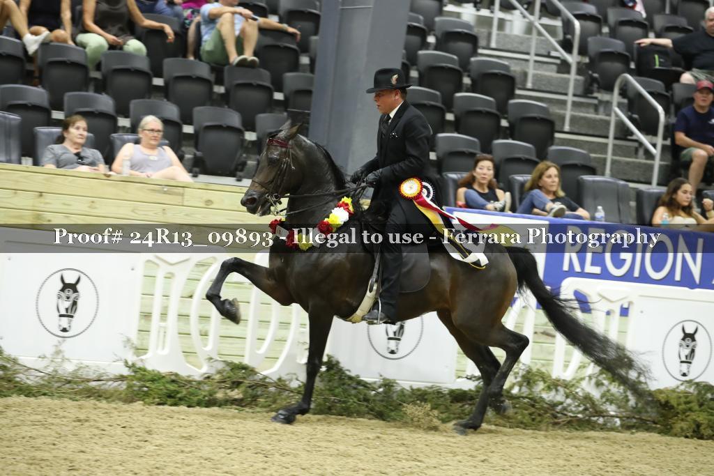 Proof Number 24R13_09893