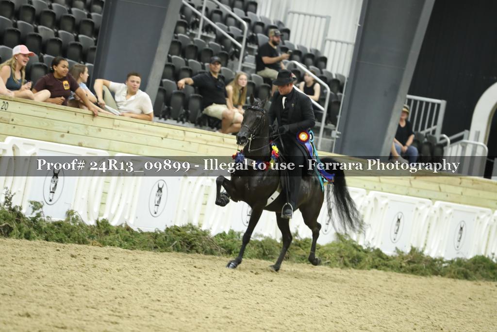 Proof Number 24R13_09899