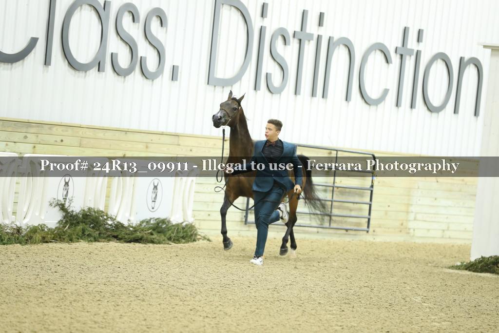 Proof Number 24R13_09911