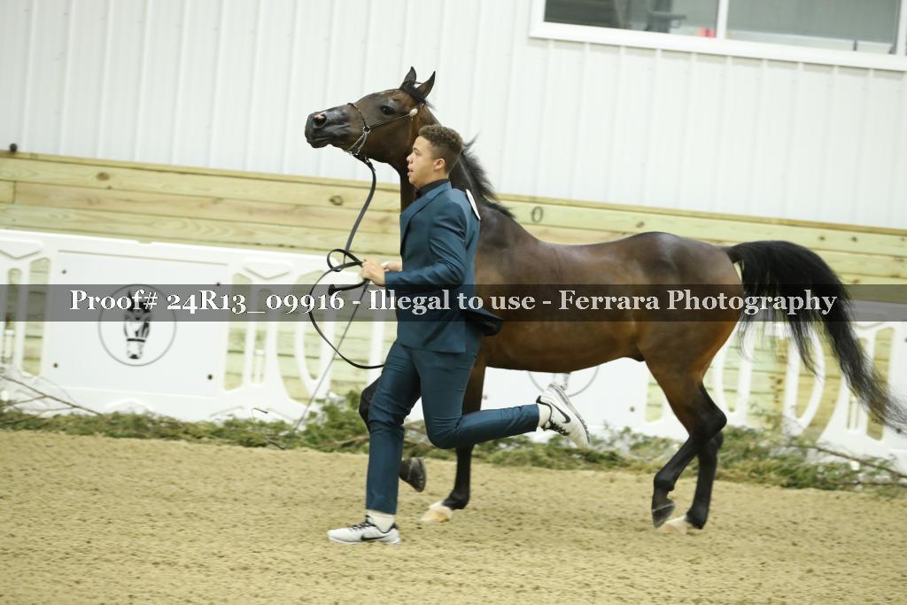 Proof Number 24R13_09916