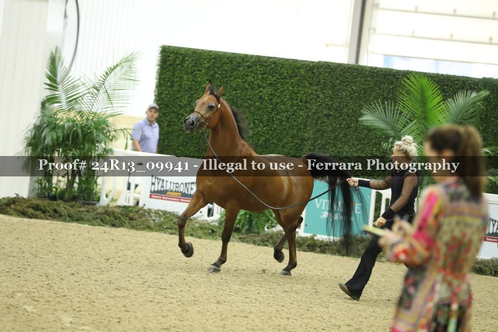 Proof Number 24R13_09941