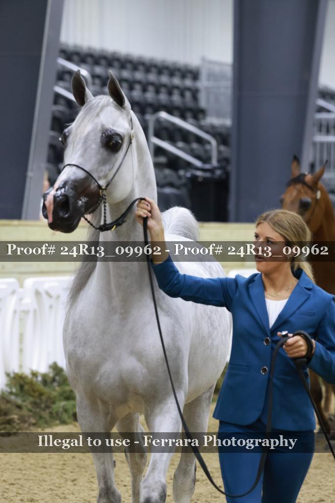 Proof Number 24R13_09962