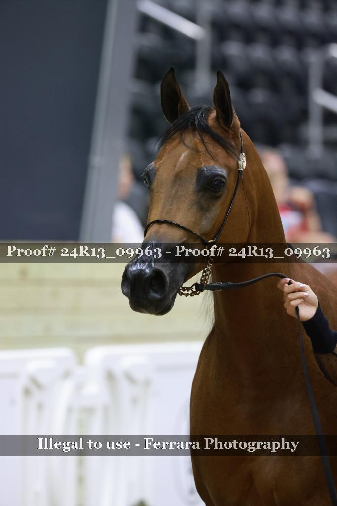 Proof Number 24R13_09963