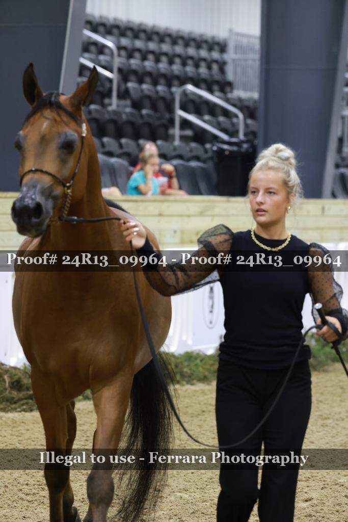 Proof Number 24R13_09964