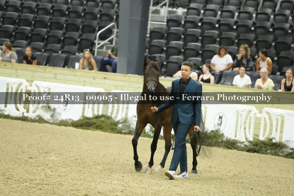 Proof Number 24R13_09965
