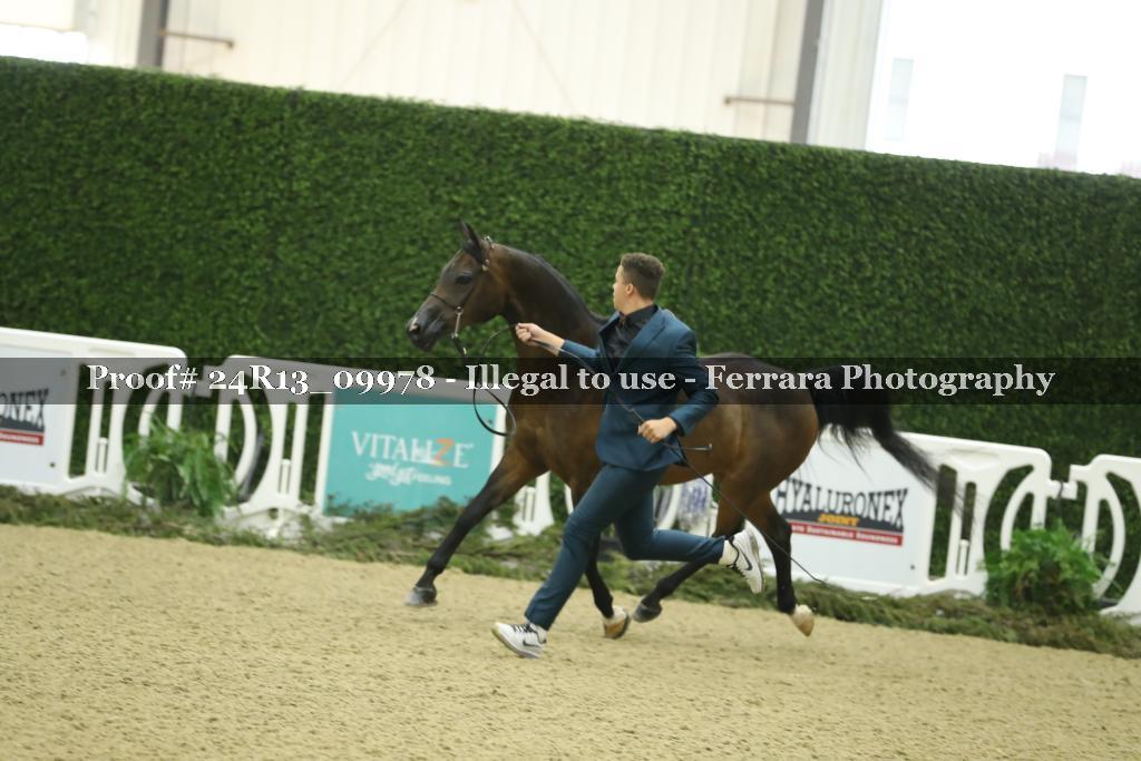 Proof Number 24R13_09978