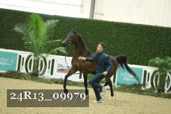 24R13_09979 thumbnail