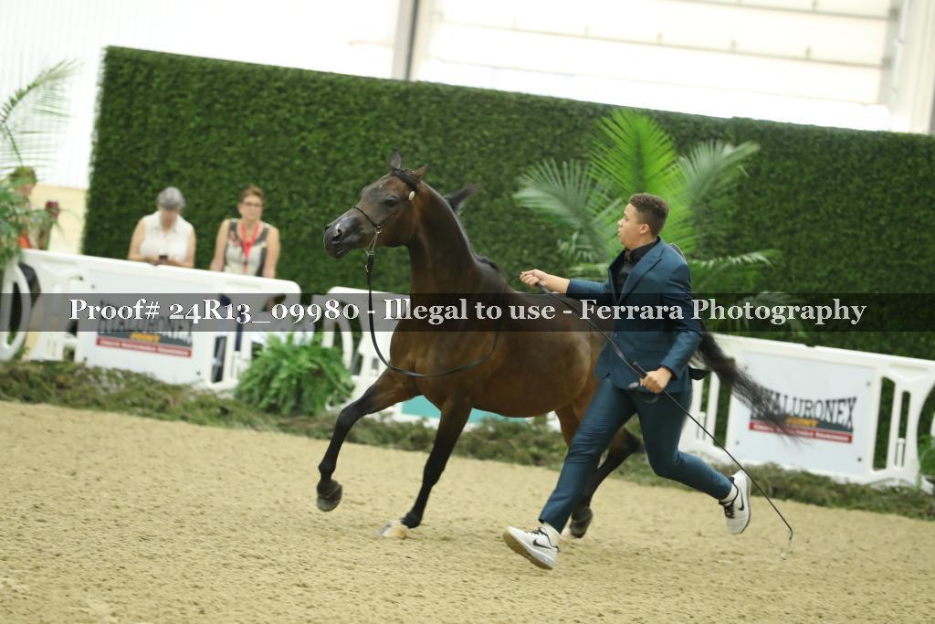 Proof Number 24R13_09980