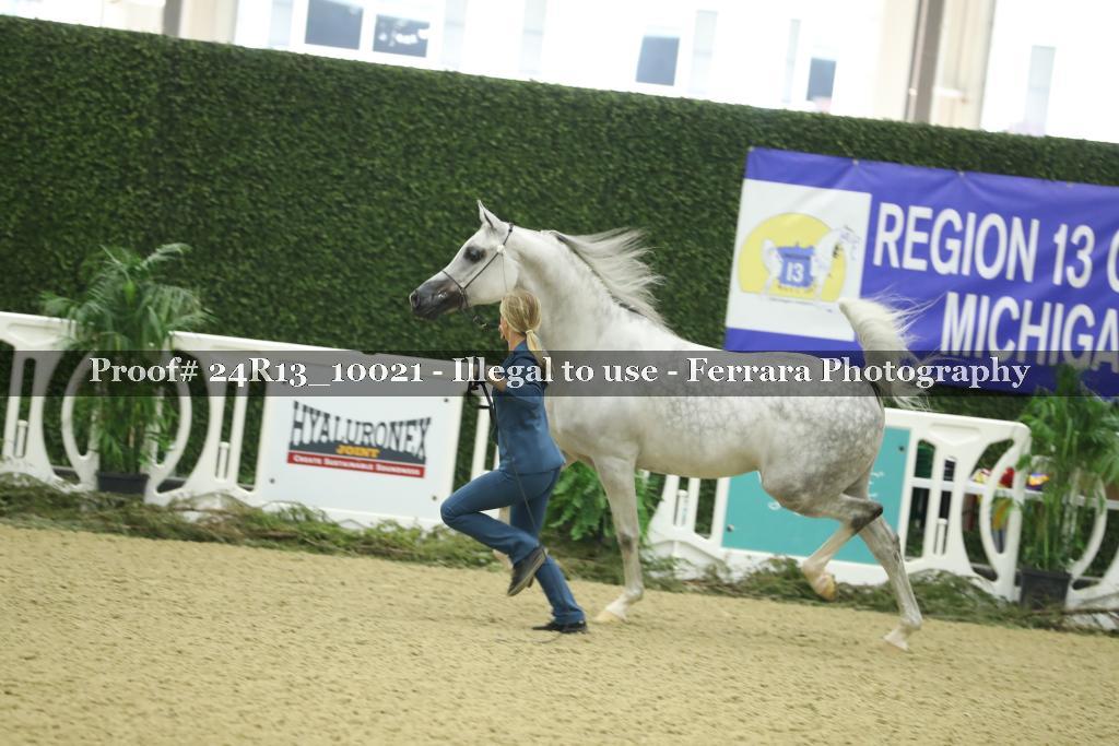 Proof Number 24R13_10021