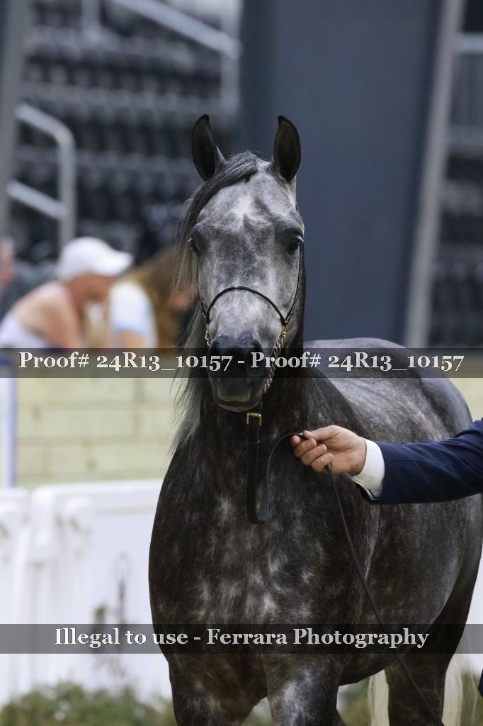 Proof Number 24R13_10157