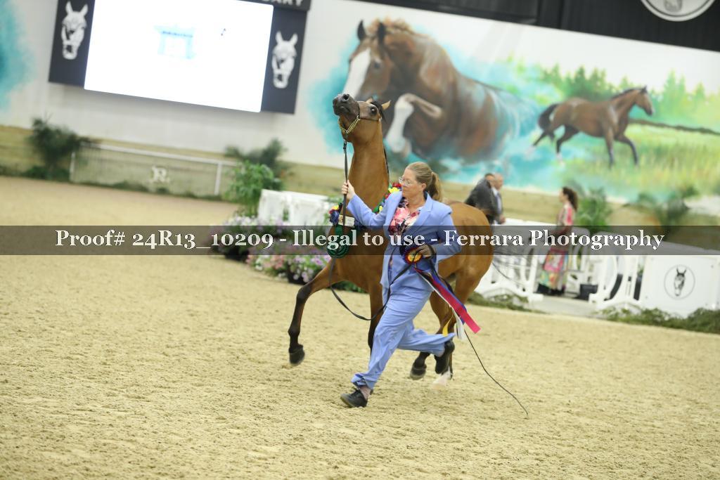Proof Number 24R13_10209