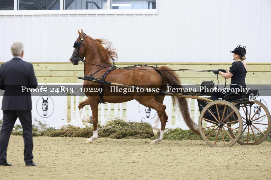 Proof Number 24R13_10229