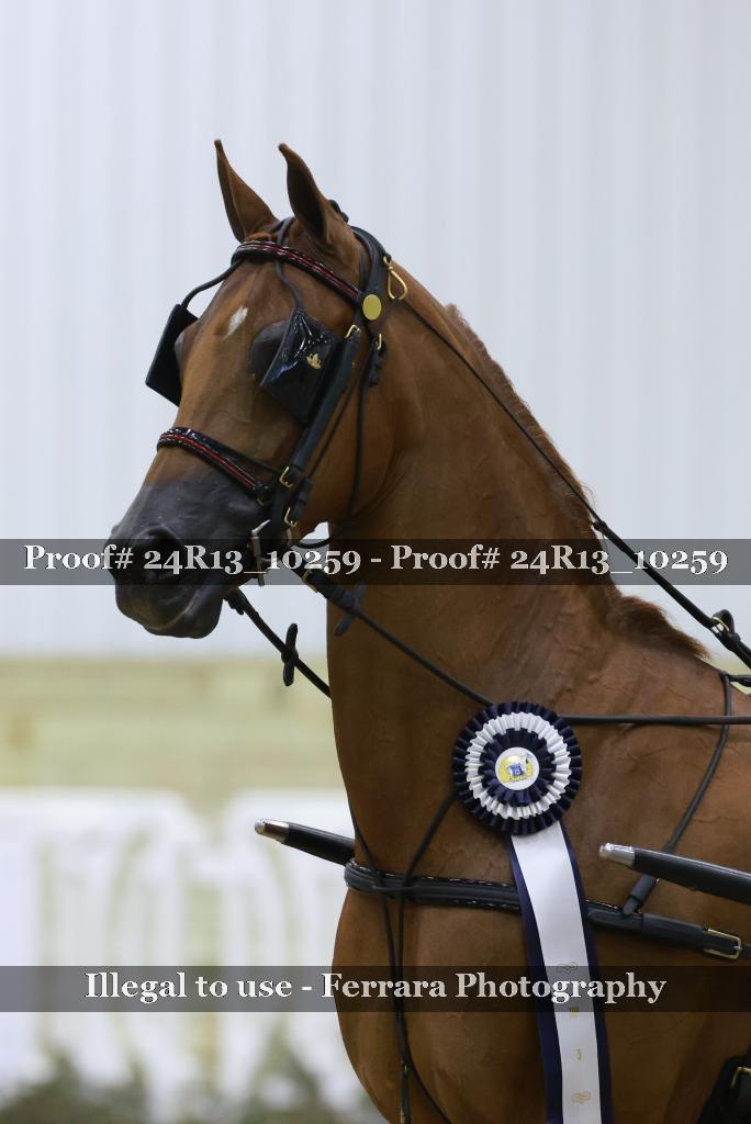 Proof Number 24R13_10259
