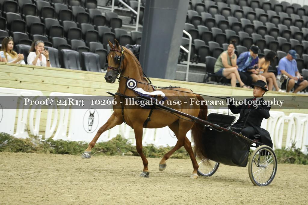 Proof Number 24R13_10266