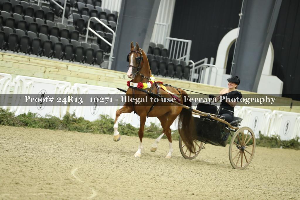 Proof Number 24R13_10271
