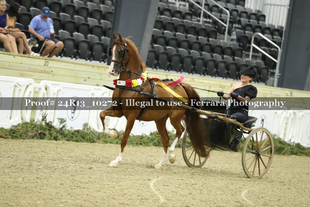 Proof Number 24R13_10272