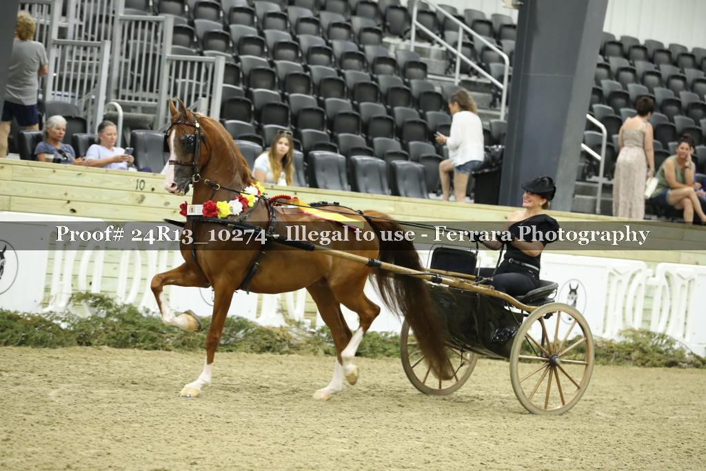 Proof Number 24R13_10274
