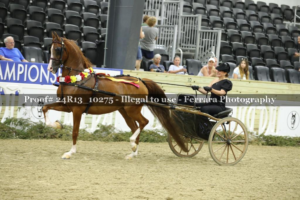 Proof Number 24R13_10275