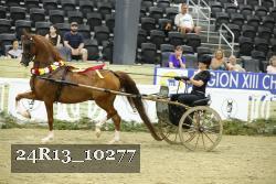 24R13_10277 thumbnail